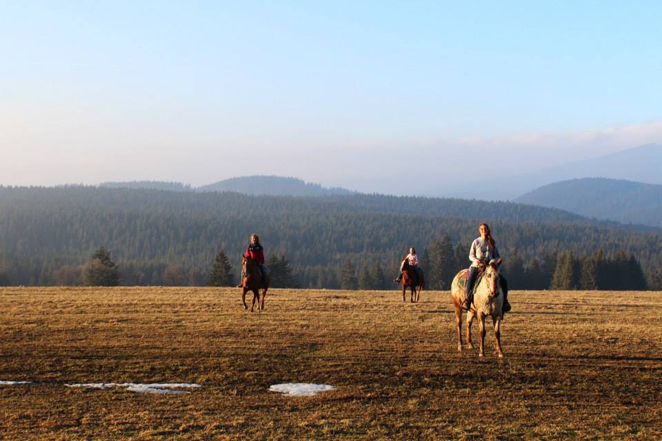 Cowgirl