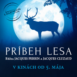 Prbeh lesa - rezervcie