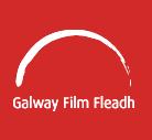 obrzok k nku: GALWAY FILM FAIR 2013